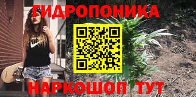 a pvp Будённовск