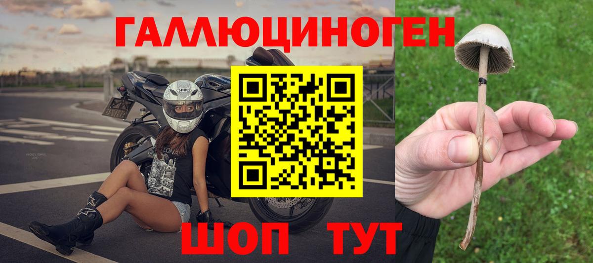 Псилоцибиновые грибы MAGIC MUSHROOMS  Вход с VPN  Котельники 