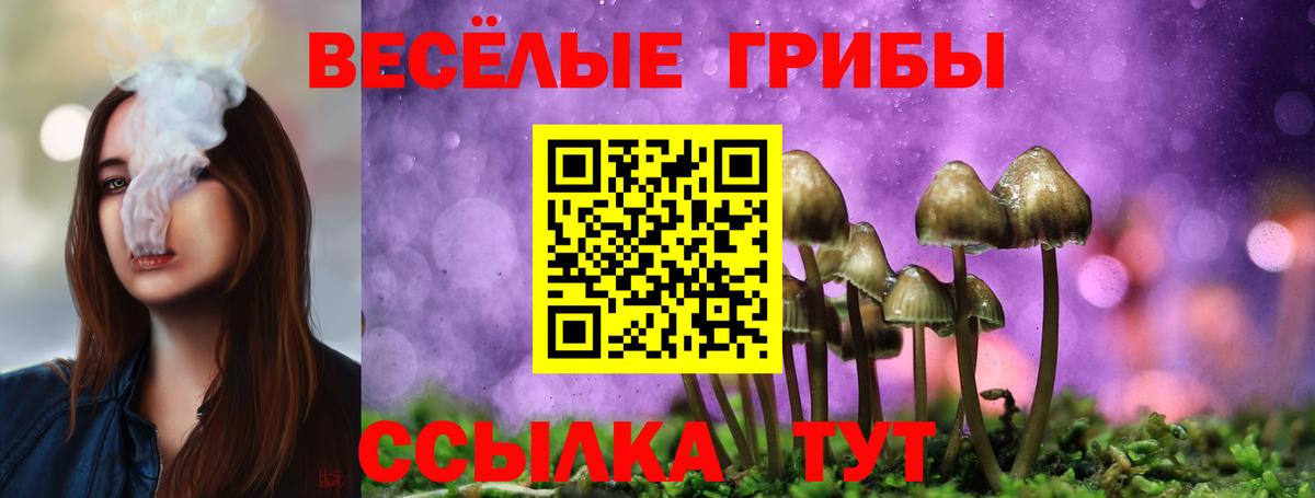 Галлюциногенные грибы ЛСД Котельники